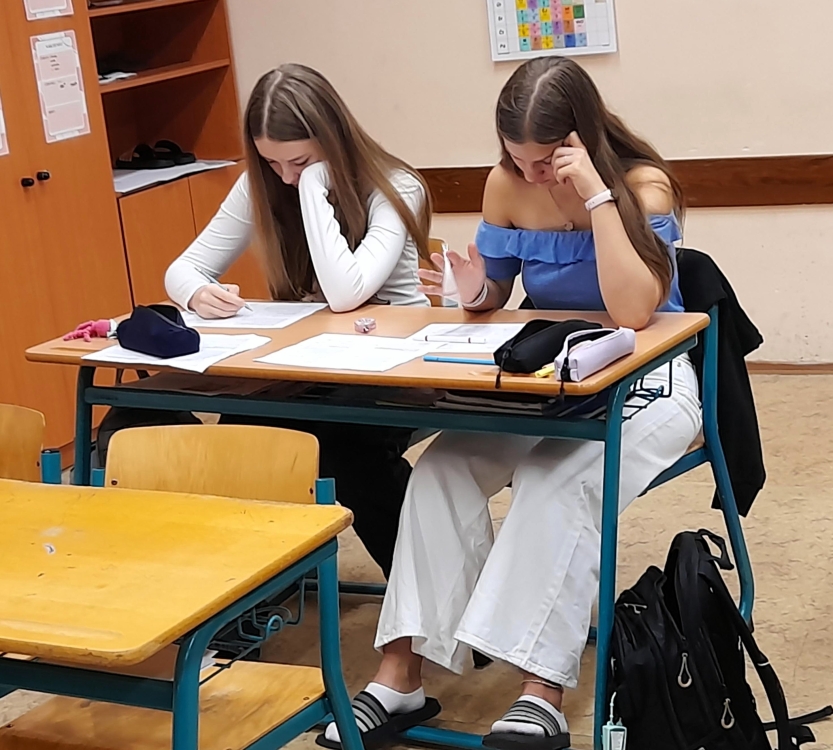 Kroužek ČJ - příprava na přijímací zkoušky v 9. ročníku