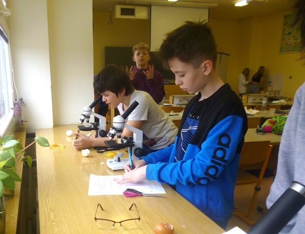 Praktické pozorování ptačího pera a vajíčka