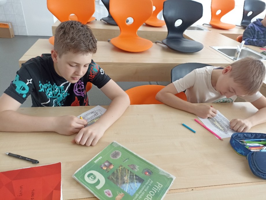 Šesťáci tvořili model ploštěnky