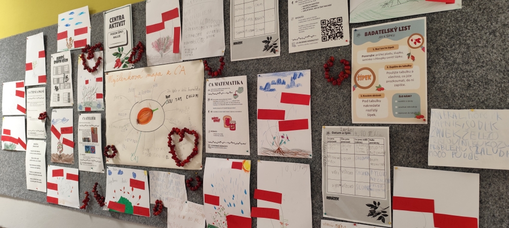 Divočáčí třída se vrhla na zkoumání šípku