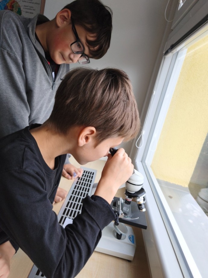 Šesťáci a práce s mikroskopem
