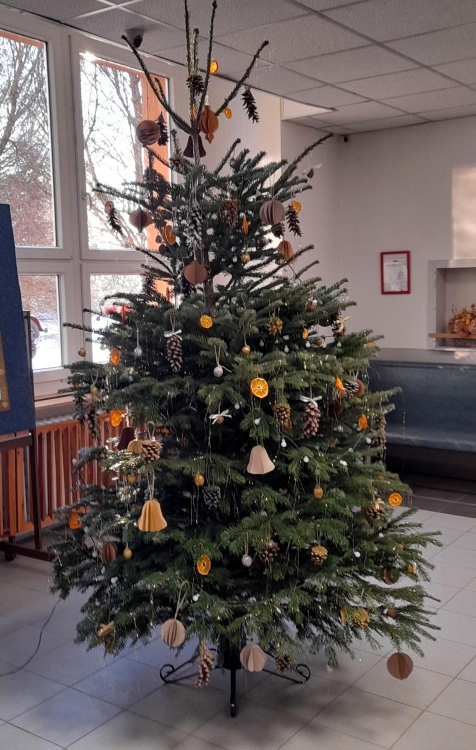 Vánoční stromeček jako dárek