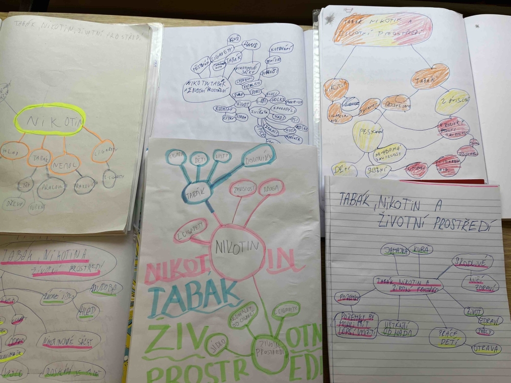 Výchova k občanství, prosinec a projekt „Škola bez nikotinu“