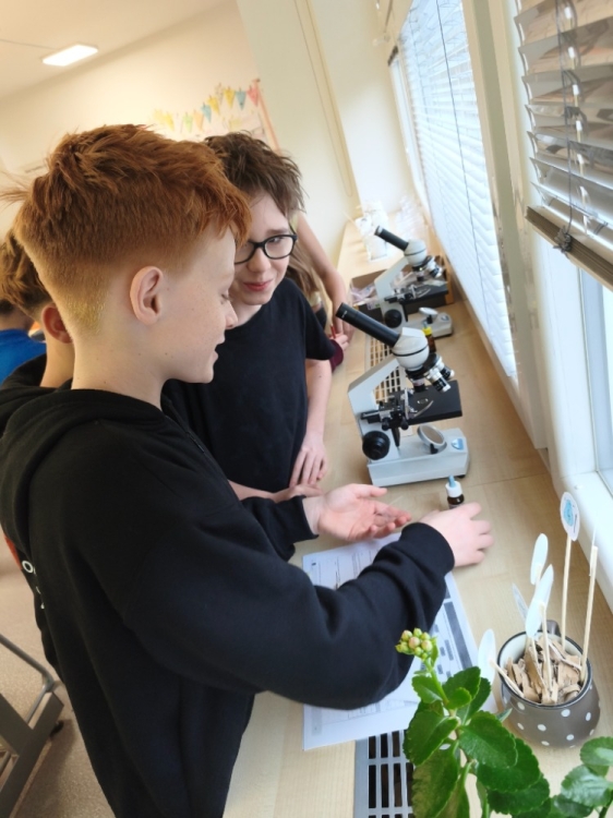 Svět buněk pod mikroskopem