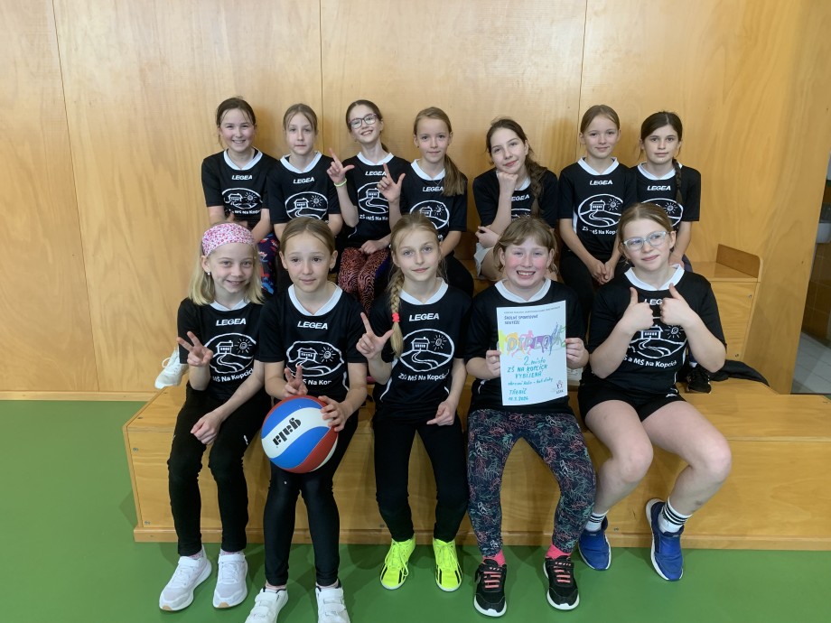 Okresní kolo ve vybíjené