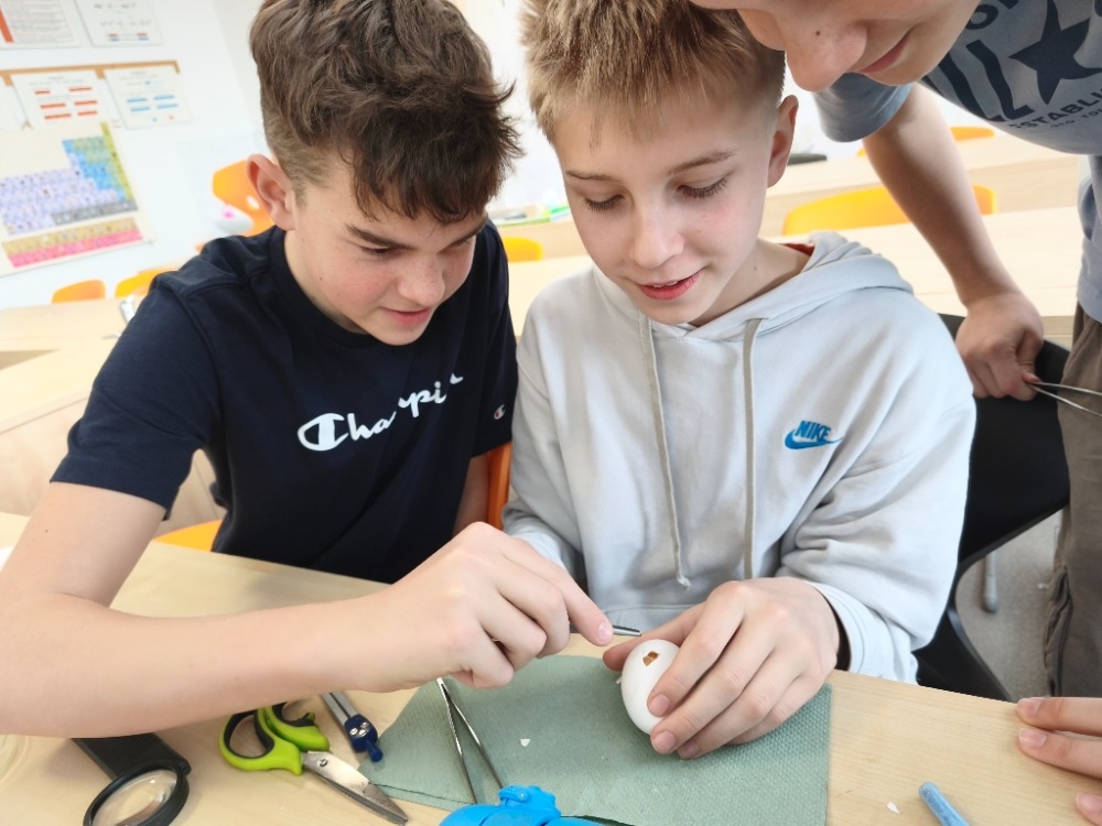 Pod lupou i mikroskopem: tajemství ptačího vejce a peří