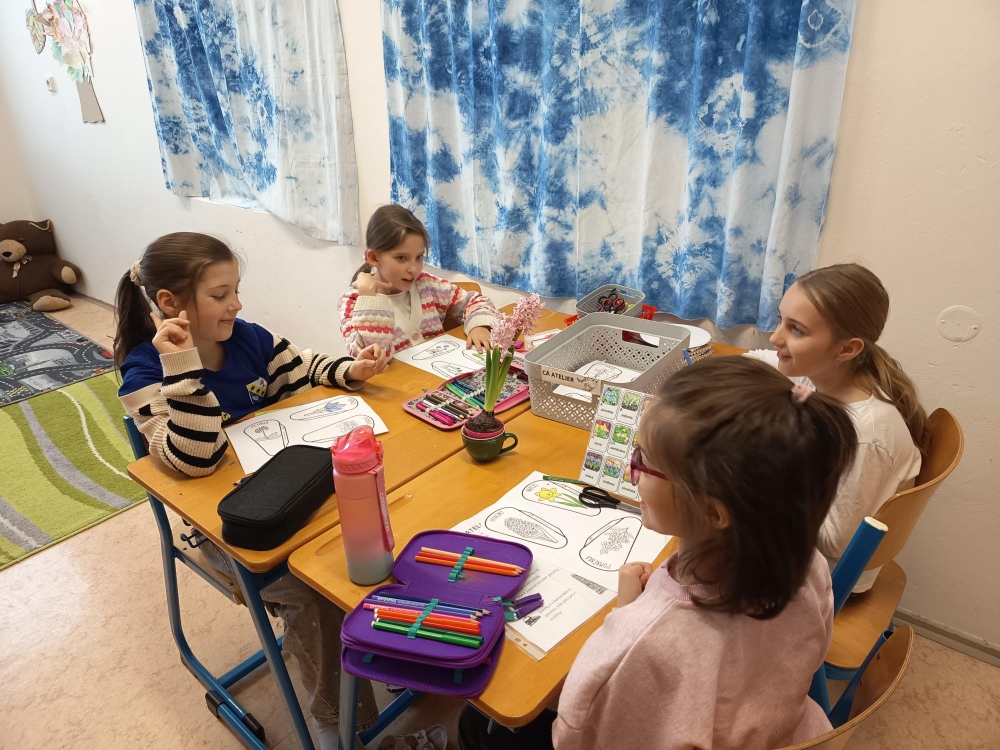 Centra aktivit ve 3. A: Objevujeme svět rostlin