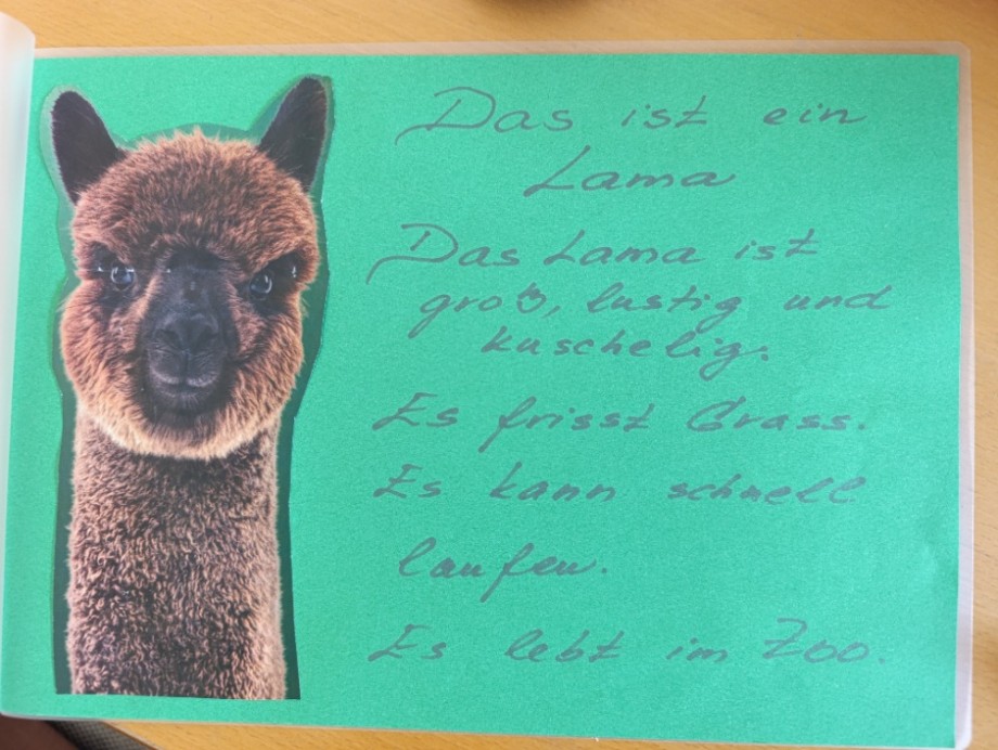 Projekt „Tiere“ v 8. A