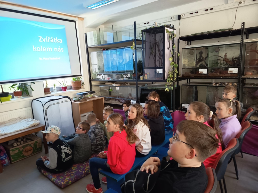 3. A na návštěvě zookoutku DDM Třebíč