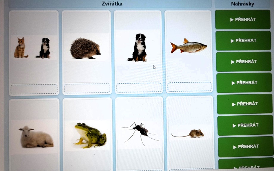 Hudební ráno plné zvířat a pohybu