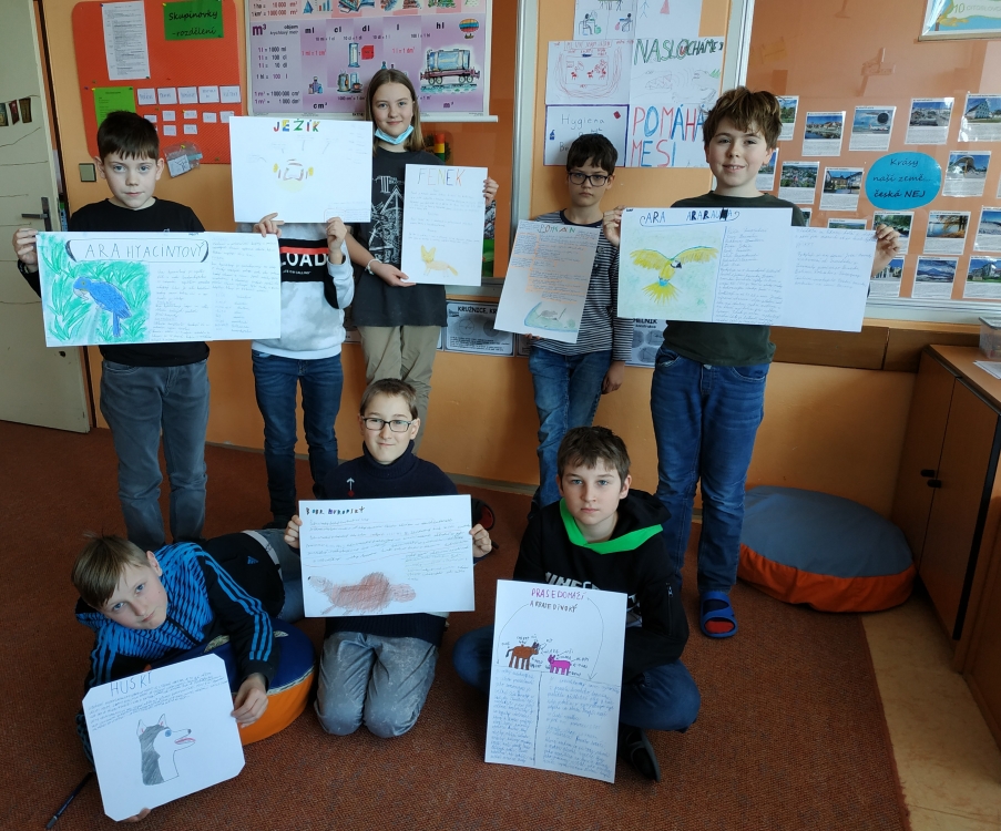 5. B Zvířata kolem nás