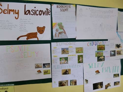 Projekt – Šelmy a další savci